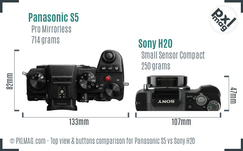 Panasonic S5 vs Sony H20 top view buttons comparison