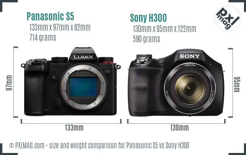 Panasonic S5 vs Sony H300 size comparison