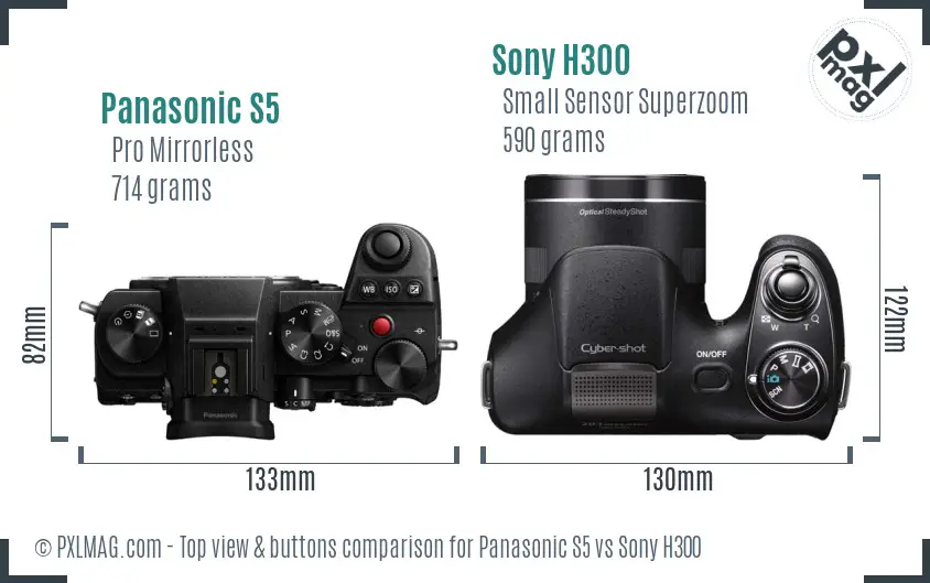 Panasonic S5 vs Sony H300 top view buttons comparison