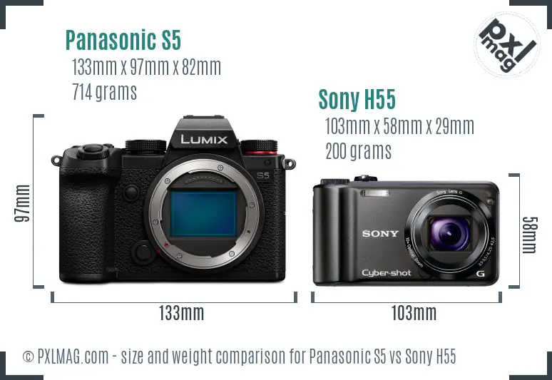 Panasonic S5 vs Sony H55 size comparison