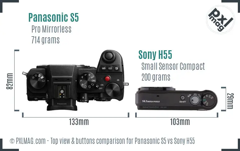 Panasonic S5 vs Sony H55 top view buttons comparison