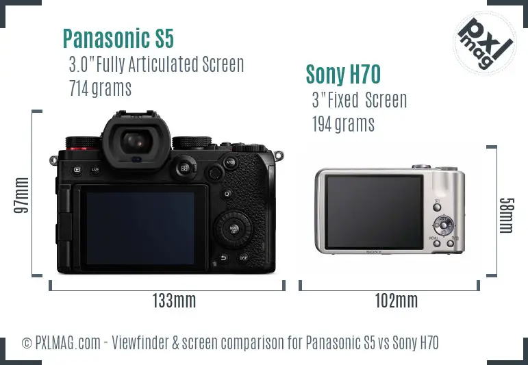 Panasonic S5 vs Sony H70 Screen and Viewfinder comparison