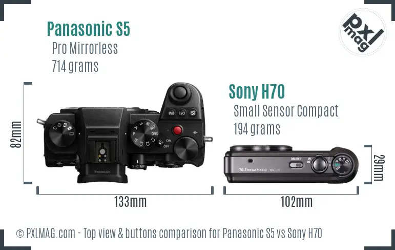 Panasonic S5 vs Sony H70 top view buttons comparison