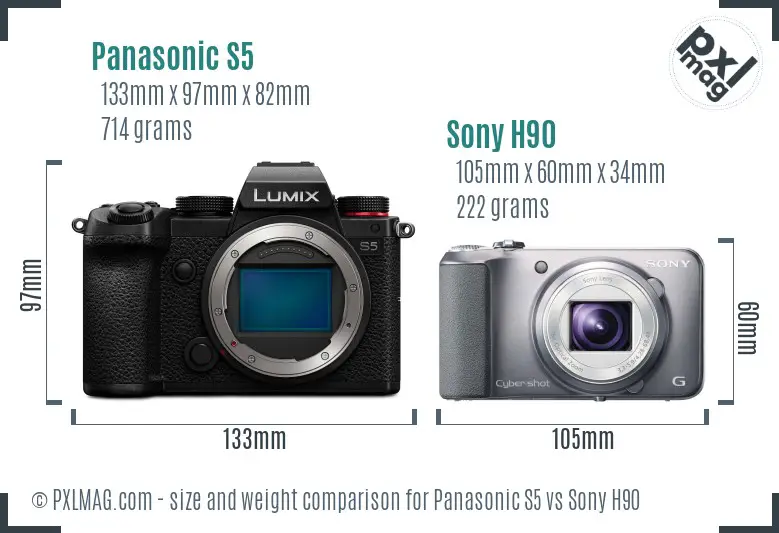 Panasonic S5 vs Sony H90 size comparison