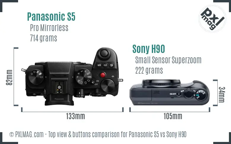 Panasonic S5 vs Sony H90 top view buttons comparison