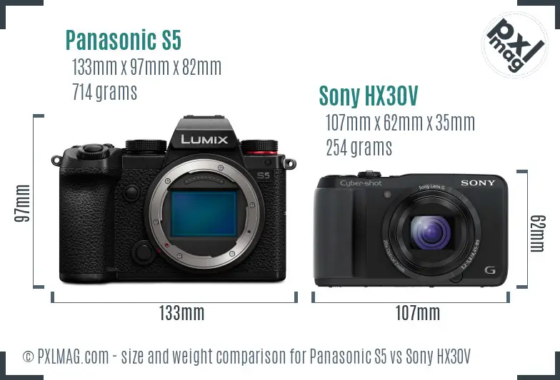 Panasonic S5 vs Sony HX30V size comparison