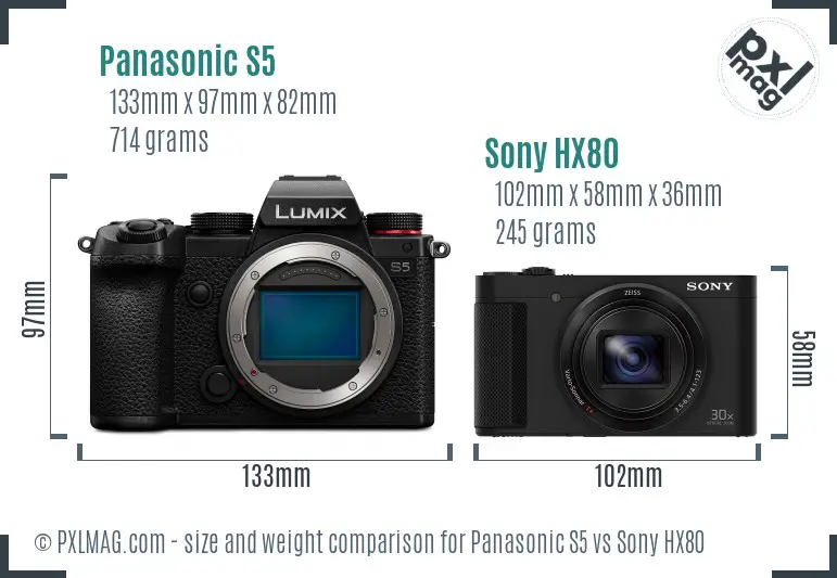 Panasonic S5 vs Sony HX80 size comparison