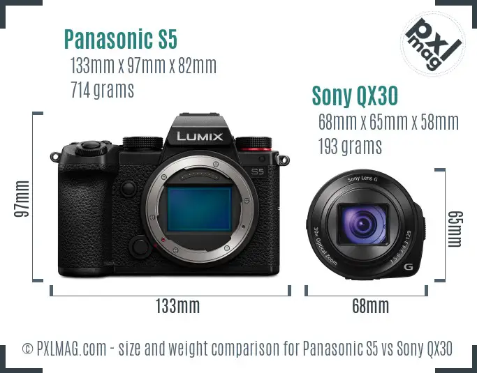 Panasonic S5 vs Sony QX30 size comparison
