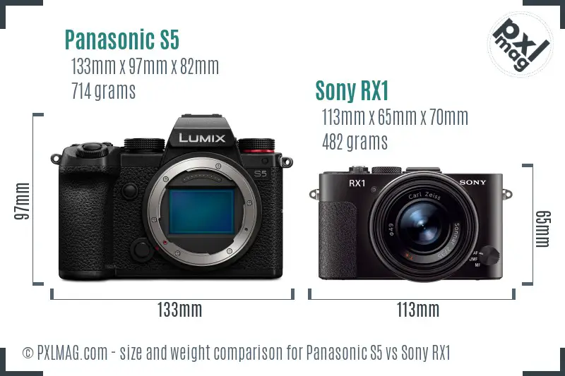 Panasonic S5 vs Sony RX1 size comparison