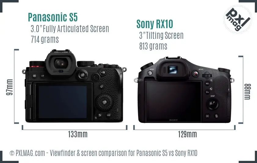 Panasonic S5 vs Sony RX10 Screen and Viewfinder comparison