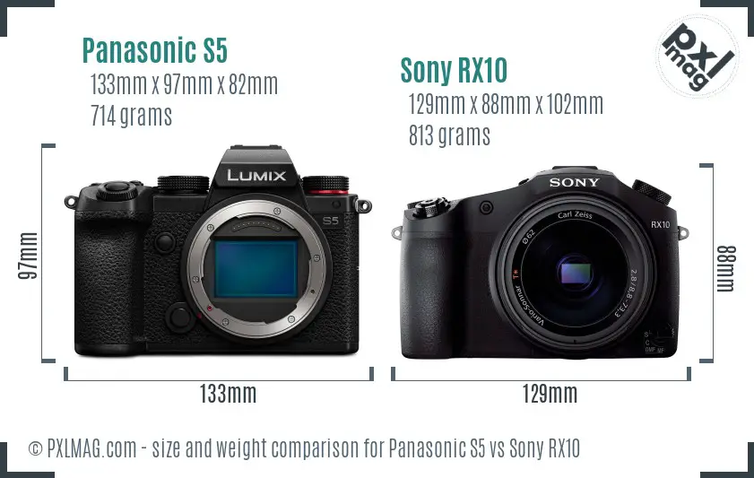 Panasonic S5 vs Sony RX10 size comparison