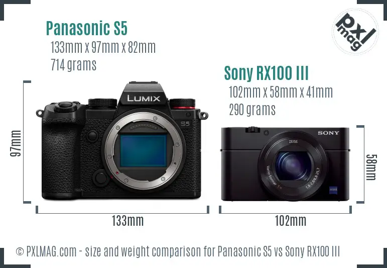 Panasonic S5 vs Sony RX100 III size comparison