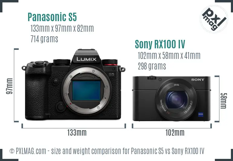 Panasonic S5 vs Sony RX100 IV size comparison
