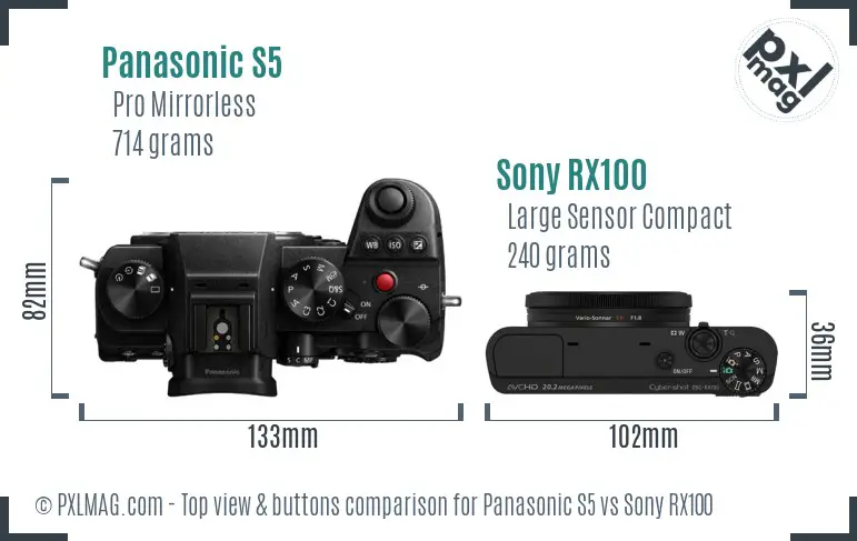 Panasonic S5 vs Sony RX100 top view buttons comparison