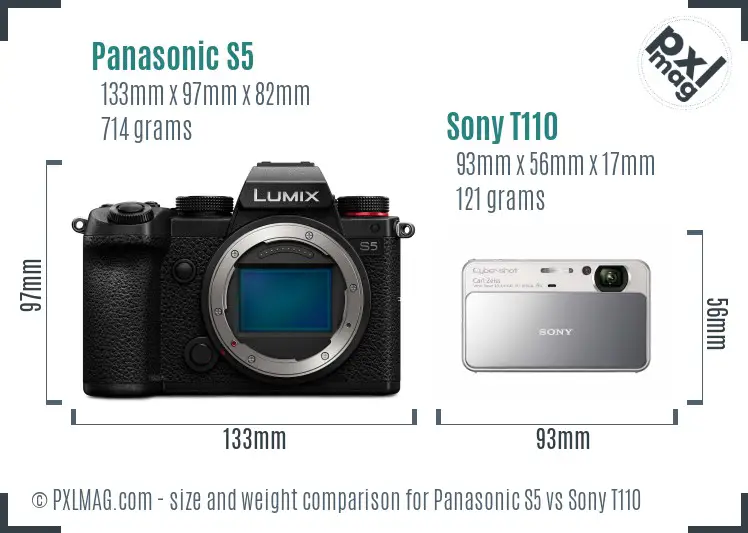 Panasonic S5 vs Sony T110 size comparison