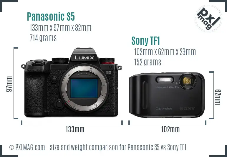 Panasonic S5 vs Sony TF1 size comparison