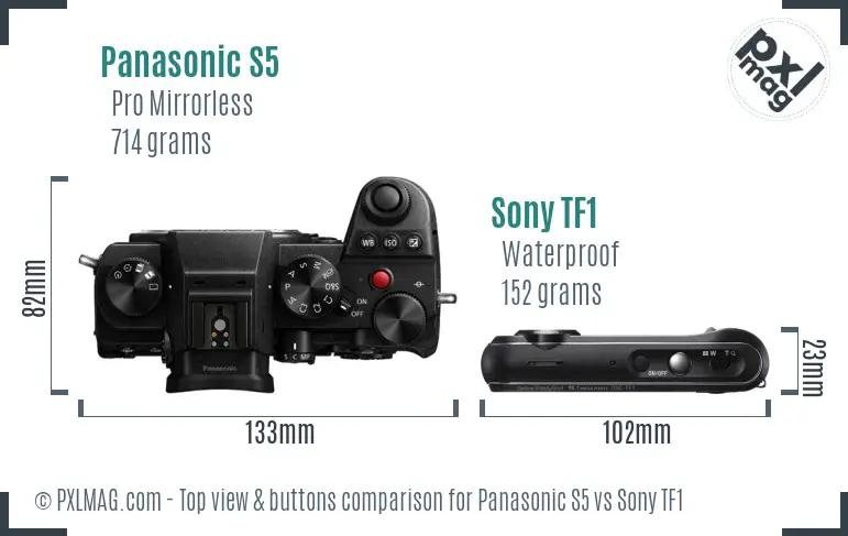 Panasonic S5 vs Sony TF1 top view buttons comparison