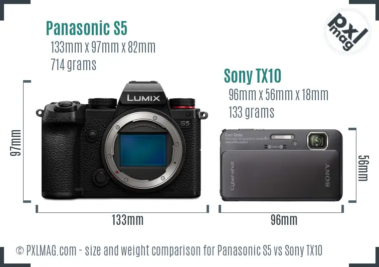 Panasonic S5 vs Sony TX10 size comparison