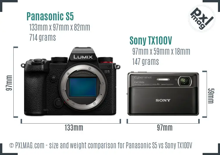Panasonic S5 vs Sony TX100V size comparison