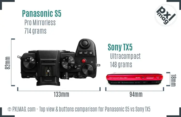 Panasonic S5 vs Sony TX5 top view buttons comparison