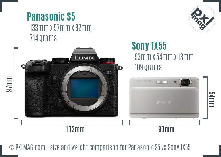 Panasonic S5 vs Sony TX55 size comparison