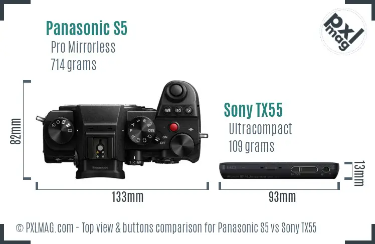 Panasonic S5 vs Sony TX55 top view buttons comparison