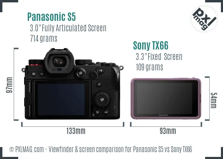 Panasonic S5 vs Sony TX66 Screen and Viewfinder comparison