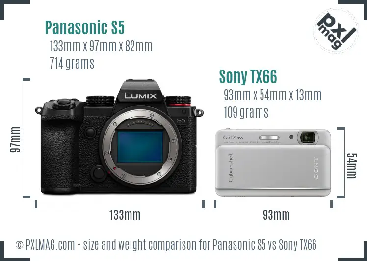 Panasonic S5 vs Sony TX66 size comparison