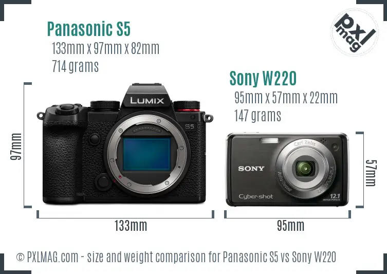 Panasonic S5 vs Sony W220 size comparison