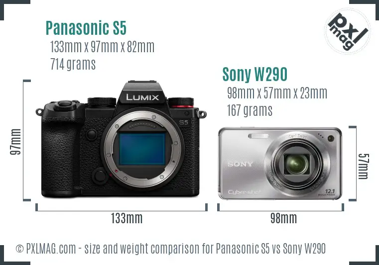 Panasonic S5 vs Sony W290 size comparison