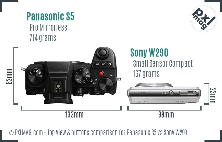 Panasonic S5 vs Sony W290 top view buttons comparison