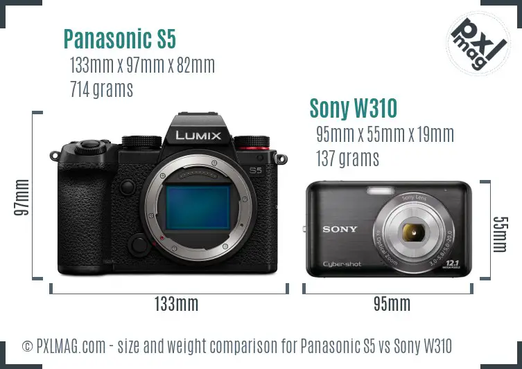 Panasonic S5 vs Sony W310 size comparison