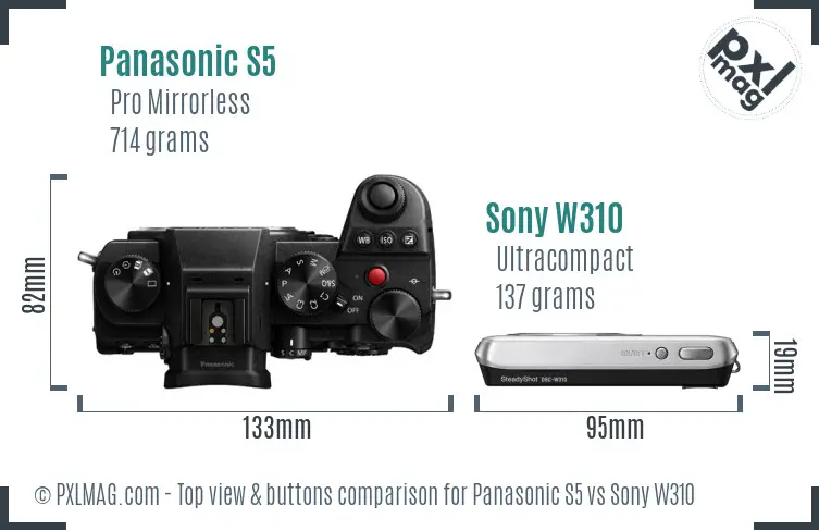 Panasonic S5 vs Sony W310 top view buttons comparison