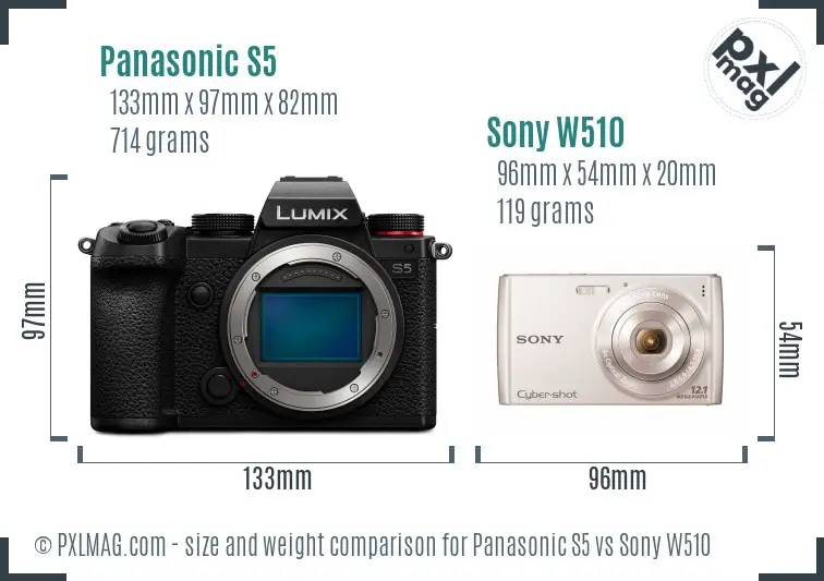 Panasonic S5 vs Sony W510 size comparison