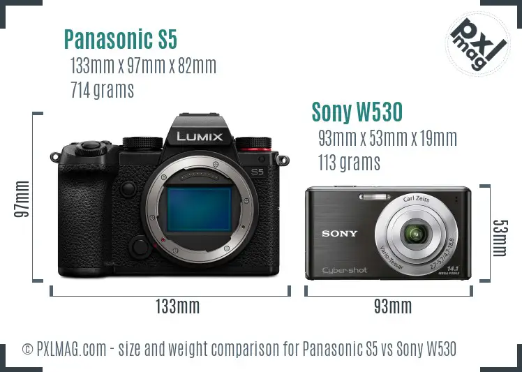 Panasonic S5 vs Sony W530 size comparison Panasonic S5 vs Sony W530 size comparison