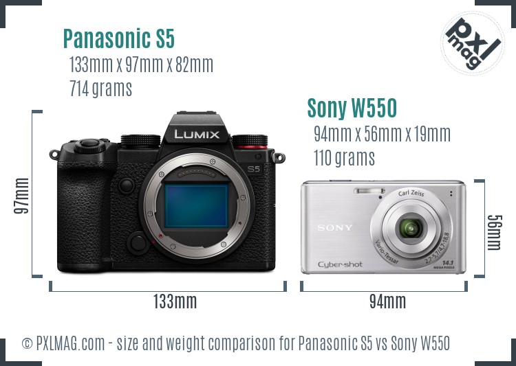 Panasonic S5 vs Sony W550 size comparison