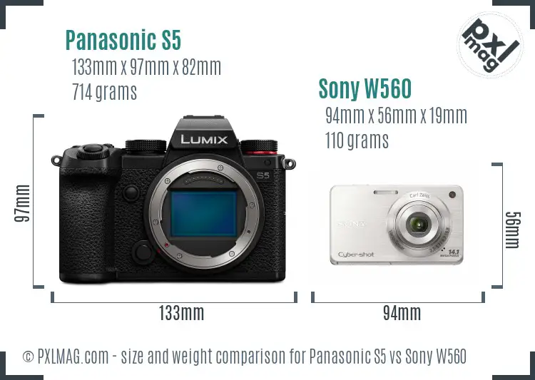 Panasonic S5 vs Sony W560 size comparison