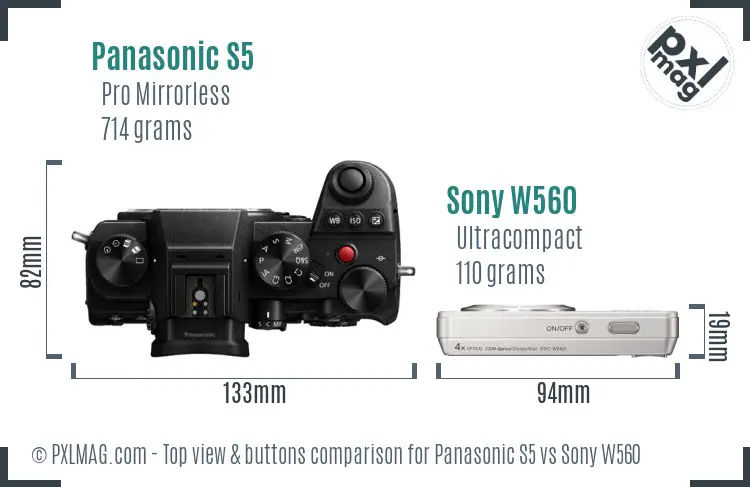 Panasonic S5 vs Sony W560 top view buttons comparison