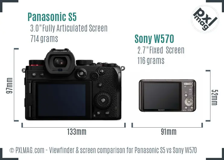Panasonic S5 vs Sony W570 Screen and Viewfinder comparison