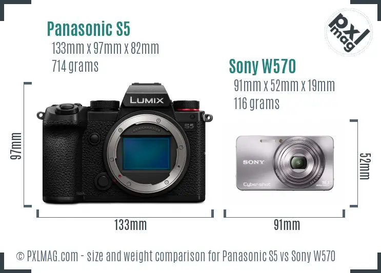 Panasonic S5 vs Sony W570 size comparison
