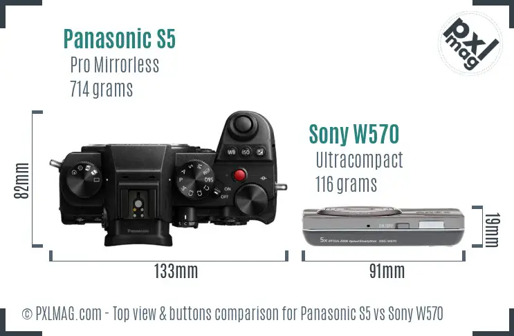 Panasonic S5 vs Sony W570 top view buttons comparison