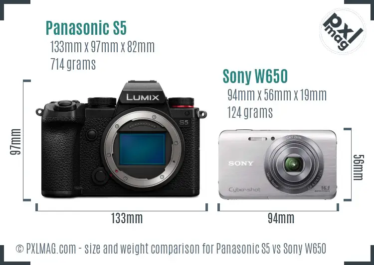 Panasonic S5 vs Sony W650 size comparison