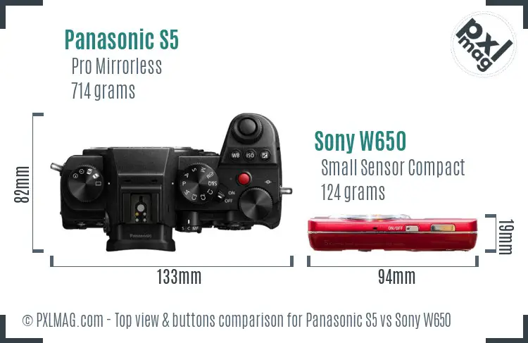 Panasonic S5 vs Sony W650 top view buttons comparison