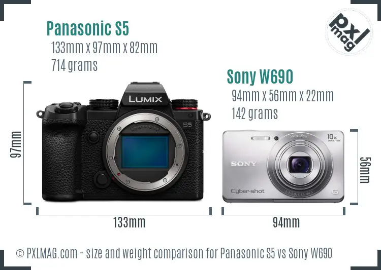 Panasonic S5 vs Sony W690 size comparison