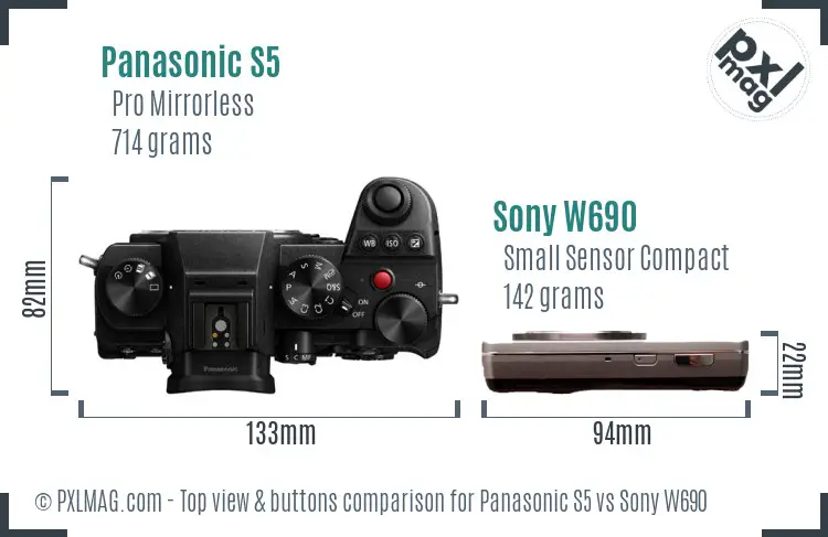 Panasonic S5 vs Sony W690 top view buttons comparison