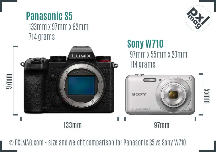 Panasonic S5 vs Sony W710 size comparison