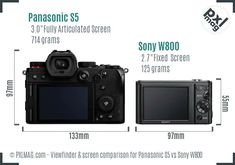 Panasonic S5 vs Sony W800 Screen and Viewfinder comparison