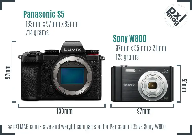 Panasonic S5 vs Sony W800 size comparison