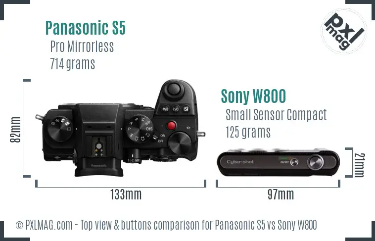 Panasonic S5 vs Sony W800 top view buttons comparison