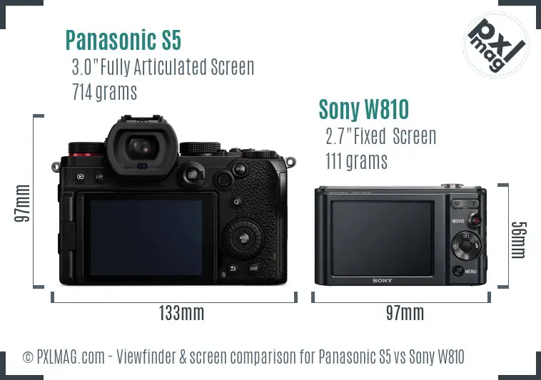 Panasonic S5 vs Sony W810 Screen and Viewfinder comparison